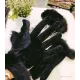 كفوف مخمل