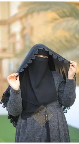 نقاب فراشة
