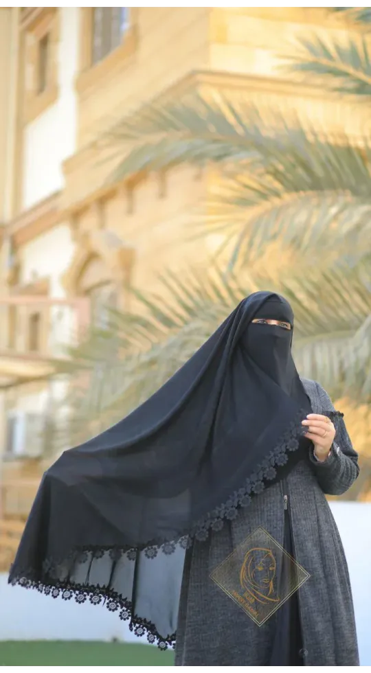 نقاب فراشة